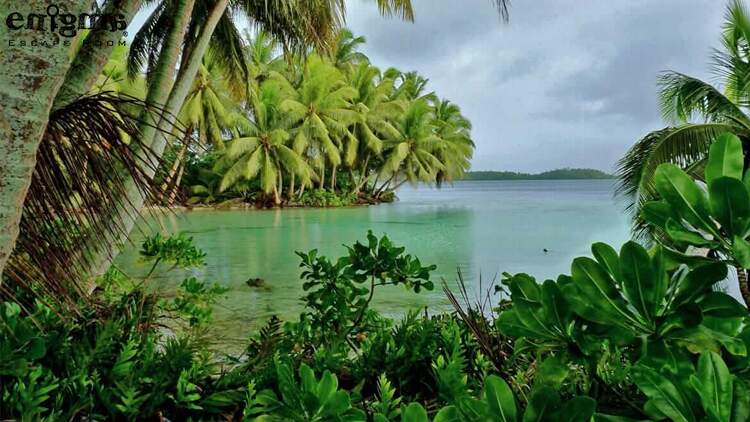 جزیره پالمیرا