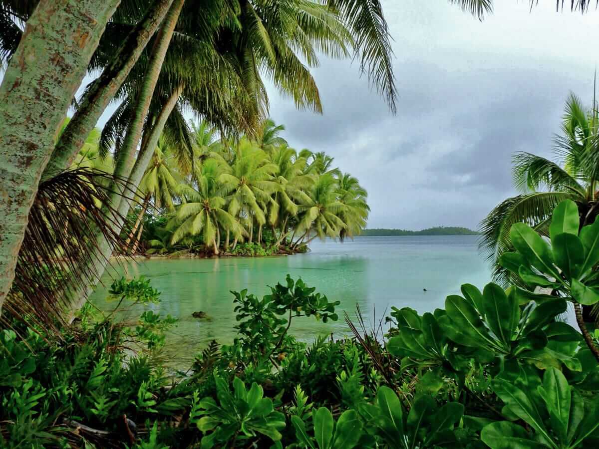 جزیره پالمیرا