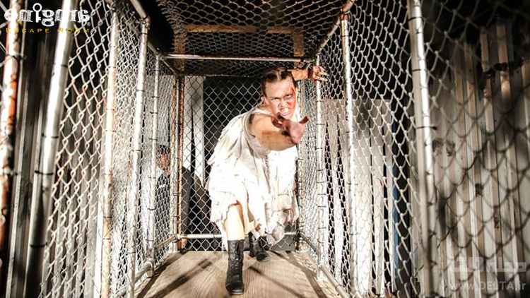 هتل مک کامی