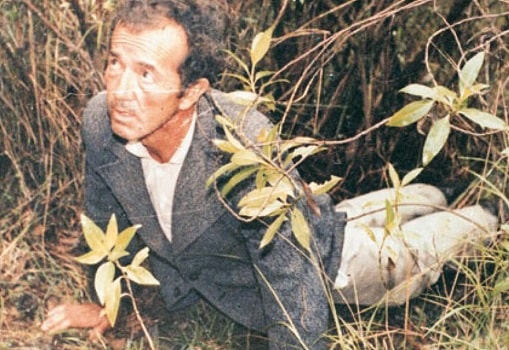 دانیل کامارگو باربوسا