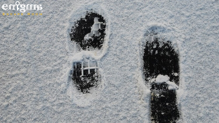 جای پا در برف