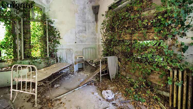 جزیره پوگلیا