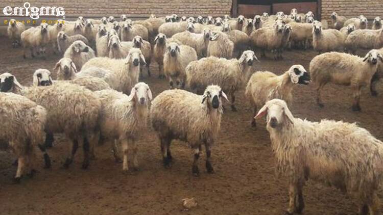 داستان ترسناک ایرانی