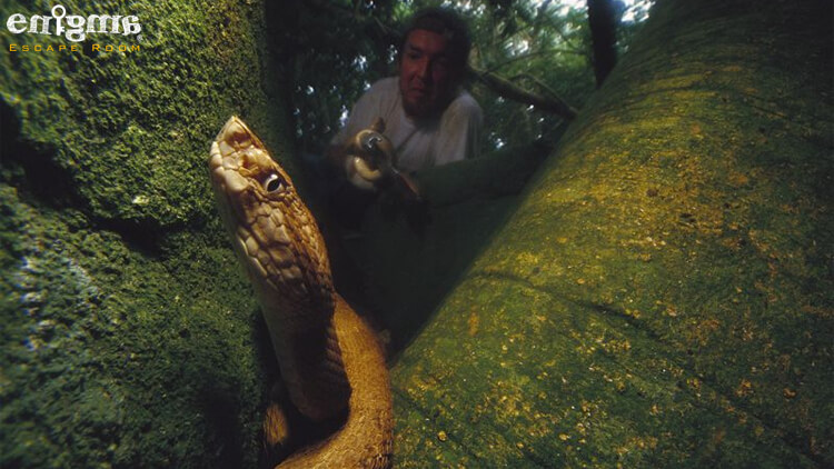 جزیره مارها